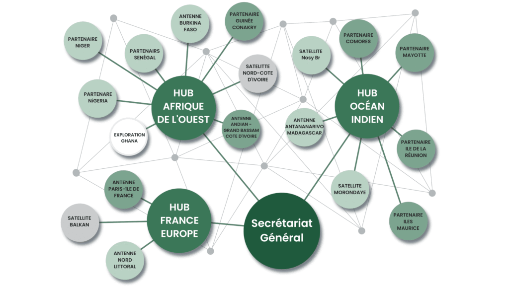 L’infographie représente l'organisation d'Ecpat 360 avec le secrétariat général et ses 3 hubs : le hub France Europe, le hub Afrique de l’Ouest, le hub océan indien. chaque hub a une ou plusieurs antennes, ses partenaires et son ou ses satellites.